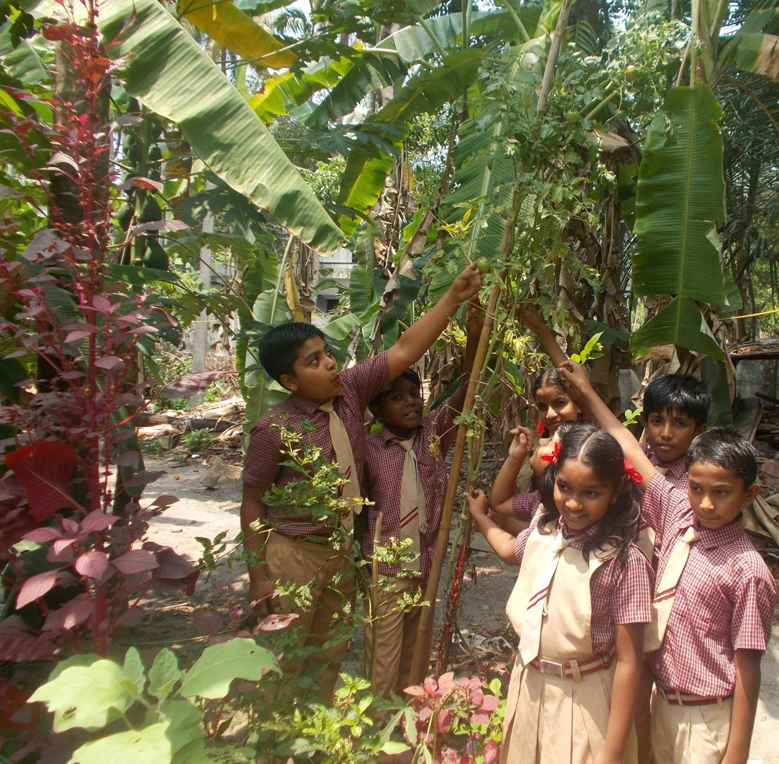 Happy kids enjoying the environment of Gayathri English Medium School