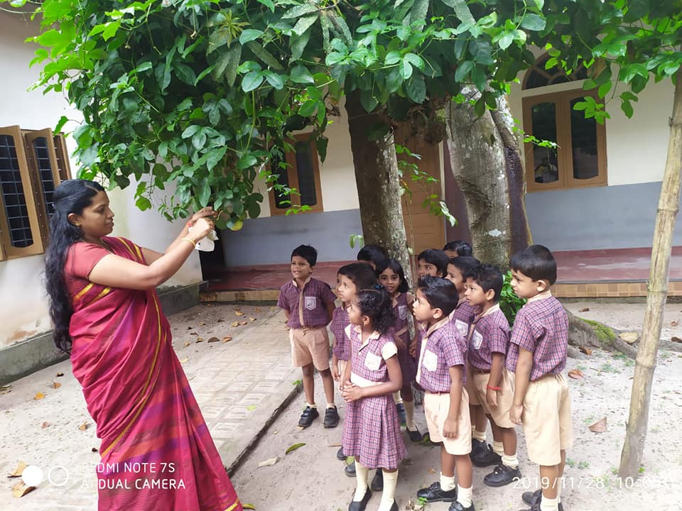 Garden Learning